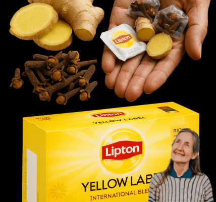 A Golden Elixir You’ll Wish You Knew Sooner – dogpjs.com A Golden Elixir You’ll Wish You Knew Sooner – dogpjs.com