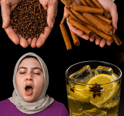 A Daily Elixir for Timeless Vitality – dogpjs.com A Daily Elixir for Timeless Vitality – dogpjs.com