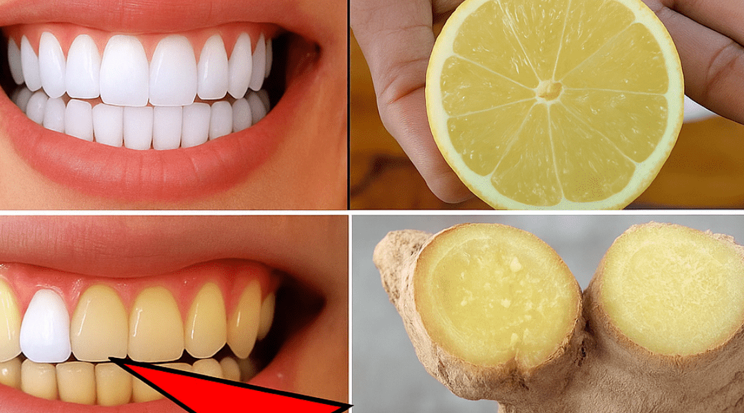 The Secret to a Whiter, Fresher You – dogpjs.com The Secret to a Whiter, Fresher You – dogpjs.com