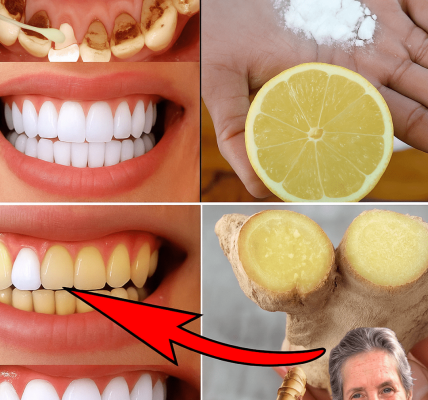 The Secret to a Whiter, Fresher You – dogpjs.com The Secret to a Whiter, Fresher You – dogpjs.com