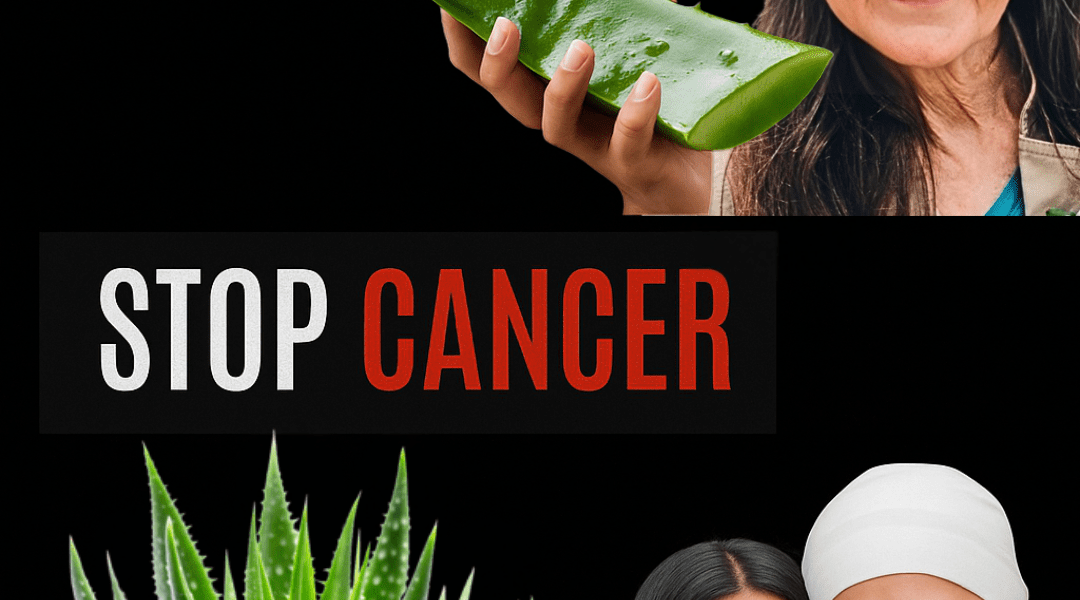 Barbara O’Neill’s Transformative Path to Cancer Resilience – dogpjs.com Barbara O’Neill’s Transformative Path to Cancer Resilience – dogpjs.com