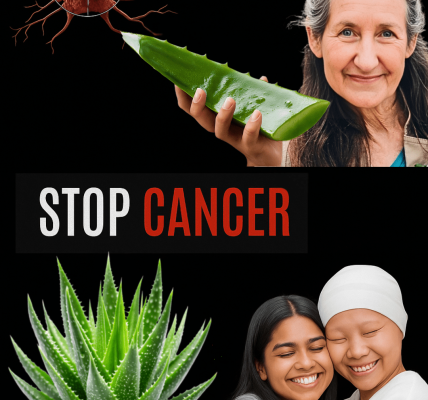 Barbara OâNeillâs Transformative Path to Cancer Resilience â dogpjs.com Barbara OâNeillâs Transformative Path to Cancer Resilience â dogpjs.com