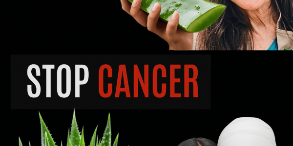 Barbara O’Neill’s Transformative Path to Cancer Resilience – dogpjs.com Barbara O’Neill’s Transformative Path to Cancer Resilience – dogpjs.com