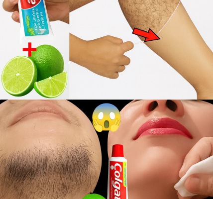 Discover the Natural Secret to Silky, Hair-Free Skin Forever Discover the Natural Secret to Silky, Hair-Free Skin Forever