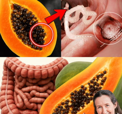 Rejuvenate Naturally and Banish Parasites Rejuvenate Naturally and Banish Parasites