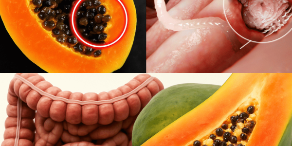 Rejuvenate Naturally and Banish Parasites Rejuvenate Naturally and Banish Parasites