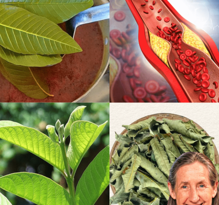 A Natural Secret to Mastering Blood Sugar A Natural Secret to Mastering Blood Sugar