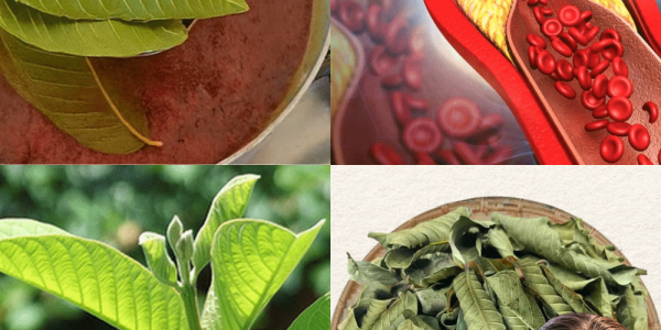 A Natural Secret to Mastering Blood Sugar A Natural Secret to Mastering Blood Sugar