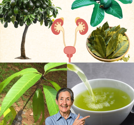 Unlock Serenity, Focus, and Inner Peace in Every Sip Unlock Serenity, Focus, and Inner Peace in Every Sip