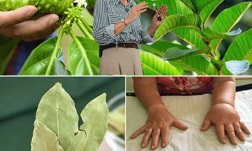 đżA Potent Tonic to Soothe Swollen Feet, Balance Blood Sugar, and Boost Circulation đżA Potent Tonic to Soothe Swollen Feet, Balance Blood Sugar, and Boost Circulation