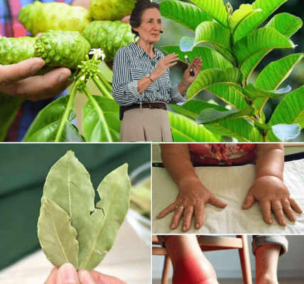 🌿A Potent Tonic to Soothe Swollen Feet, Balance Blood Sugar, and Boost Circulation