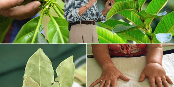 🌿A Potent Tonic to Soothe Swollen Feet, Balance Blood Sugar, and Boost Circulation 🌿A Potent Tonic to Soothe Swollen Feet, Balance Blood Sugar, and Boost Circulation