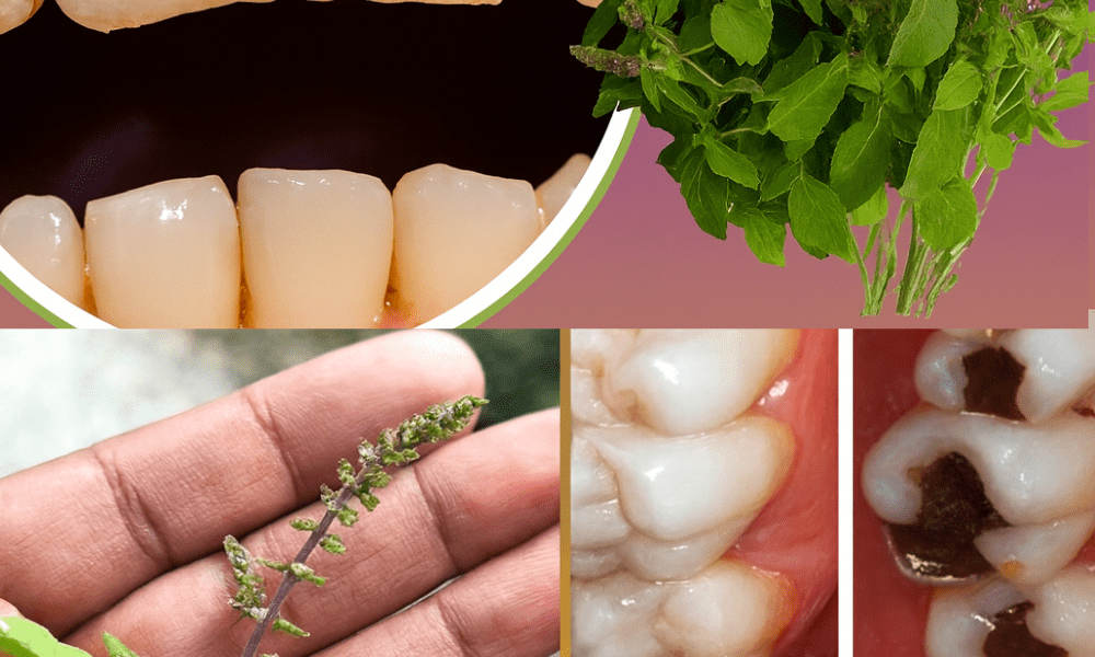 Transform Your Smile with Nature’s Oral Health Secret Transform Your Smile with Nature’s Oral Health Secret