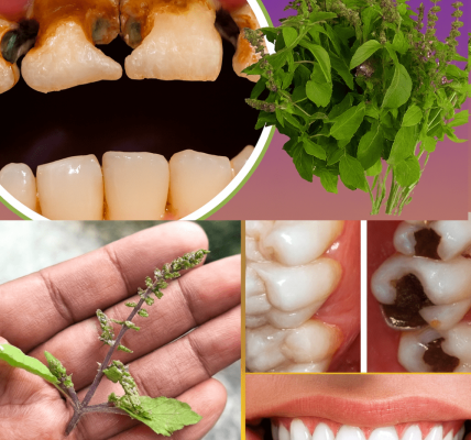 Transform Your Smile with Nature’s Oral Health Secret Transform Your Smile with Nature’s Oral Health Secret