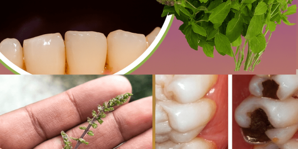 Transform Your Smile with Nature’s Oral Health Secret Transform Your Smile with Nature’s Oral Health Secret