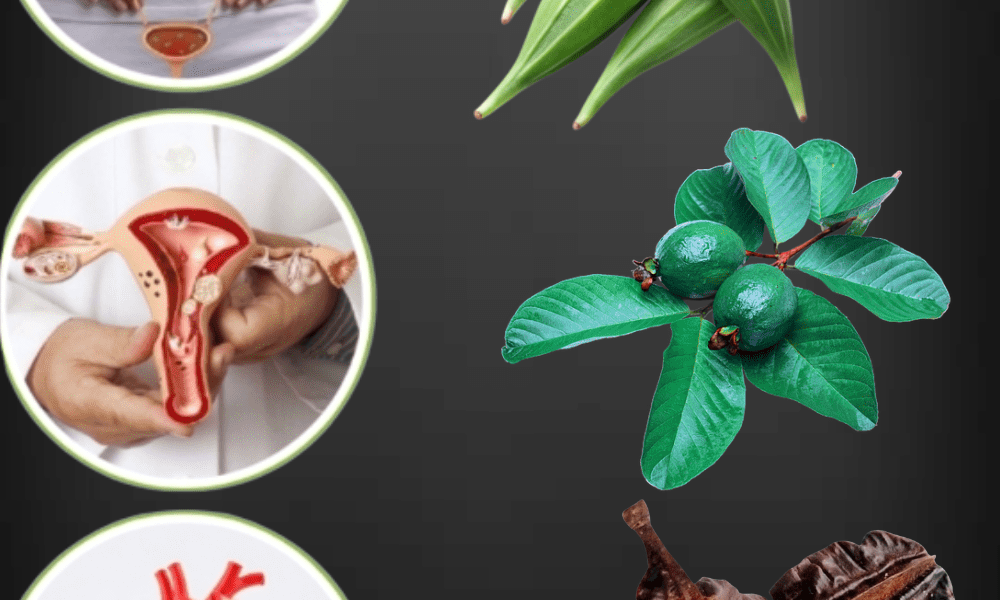 How Guava Leaves, Aidan Fruit, and Okra Could Unlock Your Path to Motherhood How Guava Leaves, Aidan Fruit, and Okra Could Unlock Your Path to Motherhood