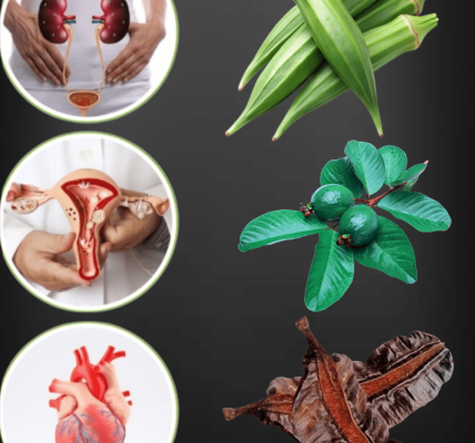 How Guava Leaves, Aidan Fruit, and Okra Could Unlock Your Path to Motherhood How Guava Leaves, Aidan Fruit, and Okra Could Unlock Your Path to Motherhood