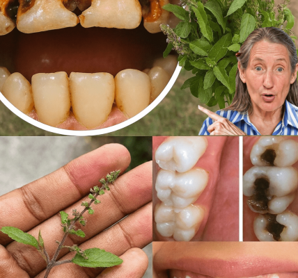 Transform Your Oral Health with Nature’s Sacred Healer – dogpjs.com Transform Your Oral Health with Nature’s Sacred Healer – dogpjs.com