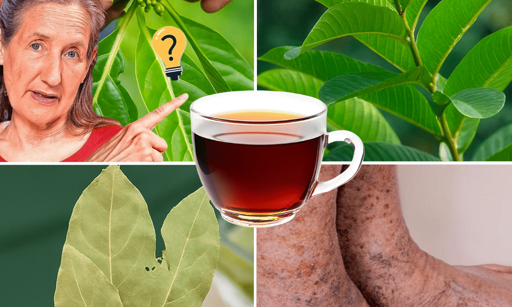 Melt Swelling, Steady Blood Sugar, Revive Your Legs in One Daily Cup – dogpjs.com Melt Swelling, Steady Blood Sugar, Revive Your Legs in One Daily Cup – dogpjs.com