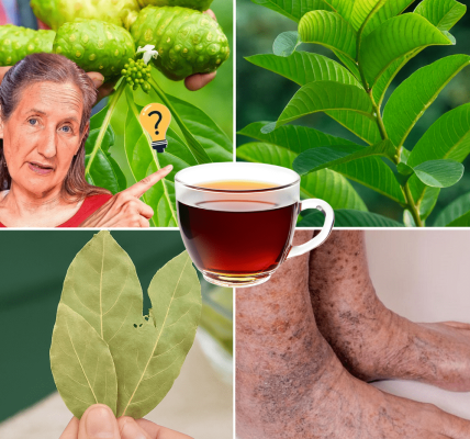 Melt Swelling, Steady Blood Sugar, Revive Your Legs in One Daily Cup – dogpjs.com Melt Swelling, Steady Blood Sugar, Revive Your Legs in One Daily Cup – dogpjs.com