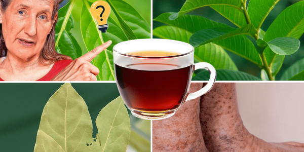 Melt Swelling, Steady Blood Sugar, Revive Your Legs in One Daily Cup – dogpjs.com Melt Swelling, Steady Blood Sugar, Revive Your Legs in One Daily Cup – dogpjs.com