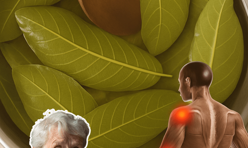 The Ancient Tropical Secret to Balanced Blood Sugar, Stronger Liver, and Effortless Daily Vitality – dogpjs.com The Ancient Tropical Secret to Balanced Blood Sugar, Stronger Liver, and Effortless Daily Vitality – dogpjs.com