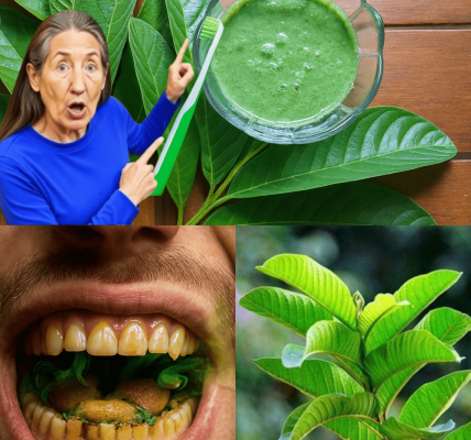 The Secret Natural Weapon That Stops Tooth Decay in Its Tracks – dogpjs.com The Secret Natural Weapon That Stops Tooth Decay in Its Tracks – dogpjs.com
