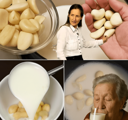 Ancient Elixir Igniting Modern Vitality and Inner Glow – dogpjs.com Ancient Elixir Igniting Modern Vitality and Inner Glow – dogpjs.com