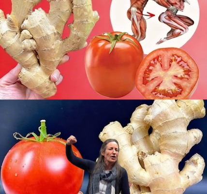 The Ginger-Tomato Elixir That’s Rewiring Men’s Energy Naturally – dogpjs.com The Ginger-Tomato Elixir That’s Rewiring Men’s Energy Naturally – dogpjs.com