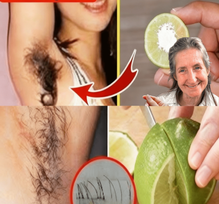 🍋 Can Lemon and Toothpaste Really Banish Unwanted Hair Forever? – dogpjs.com 🍋 Can Lemon and Toothpaste Really Banish Unwanted Hair Forever? – dogpjs.com