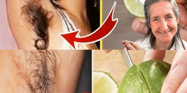 🍋 Can Lemon and Toothpaste Really Banish Unwanted Hair Forever? – dogpjs.com