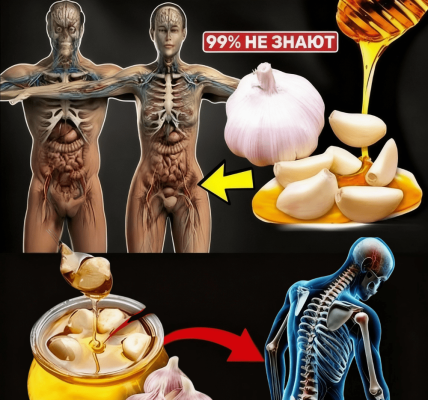 What Happens to Your Body After 21 Days of Garlic and Honey Every Morning? – dogpjs.com What Happens to Your Body After 21 Days of Garlic and Honey Every Morning? – dogpjs.com