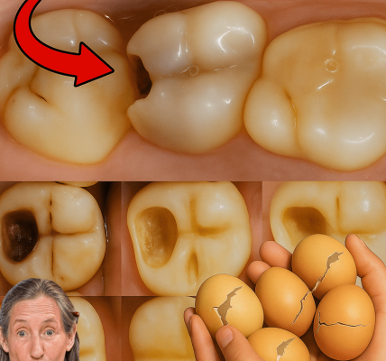 Eggshells Transform Yellow Teeth to Pearl White in Just 5 Minutes – dogpjs.com Eggshells Transform Yellow Teeth to Pearl White in Just 5 Minutes – dogpjs.com