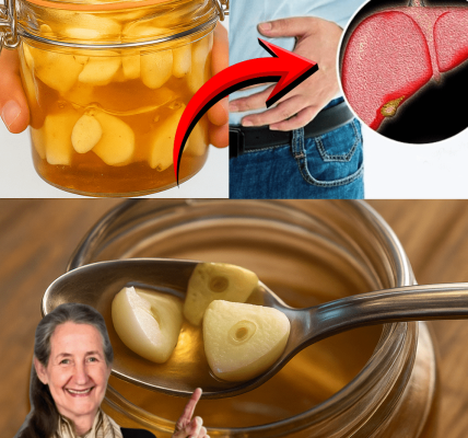 7 Transformative Benefits in Just One Week â dogpjs.com 7 Transformative Benefits in Just One Week â dogpjs.com