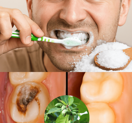 Your Gentle Path to Radiant Teeth – dogpjs.com Your Gentle Path to Radiant Teeth – dogpjs.com