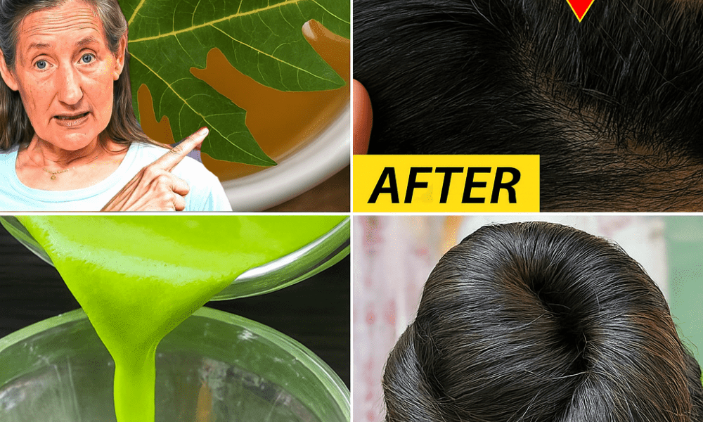Why Papaya Leaves Are Your Hair’s Best-Kept Miracle – dogpjs.com Why Papaya Leaves Are Your Hair’s Best-Kept Miracle – dogpjs.com