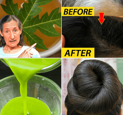 Why Papaya Leaves Are Your Hair’s Best-Kept Miracle – dogpjs.com Why Papaya Leaves Are Your Hair’s Best-Kept Miracle – dogpjs.com