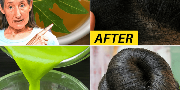 Why Papaya Leaves Are Your Hair’s Best-Kept Miracle – dogpjs.com Why Papaya Leaves Are Your Hair’s Best-Kept Miracle – dogpjs.com