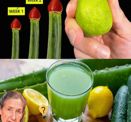 Lemon + Cucumber Combo That Transforms Your Health Overnight! – dogpjs.com Lemon + Cucumber Combo That Transforms Your Health Overnight! – dogpjs.com