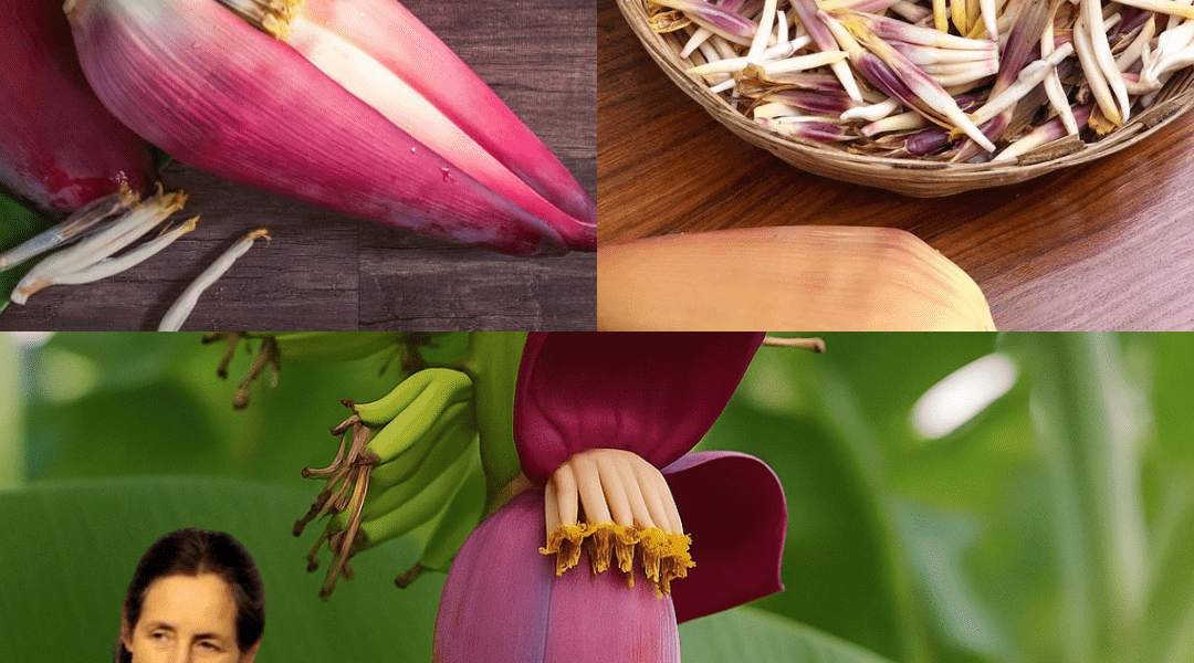 Why Banana Blossom Is Your New Superfood Obsession Why Banana Blossom Is Your New Superfood Obsession