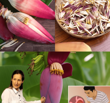 Why Banana Blossom Is Your New Superfood Obsession Why Banana Blossom Is Your New Superfood Obsession