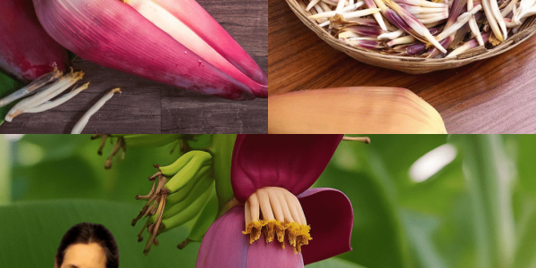 Why Banana Blossom Is Your New Superfood Obsession