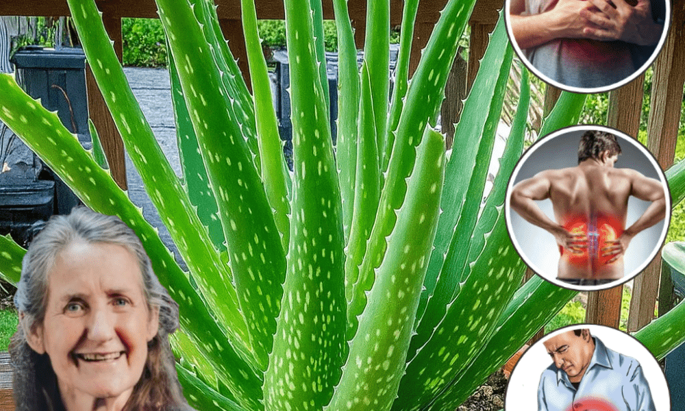 12 Astonishing Ways to Heal Your Body Naturally 12 Astonishing Ways to Heal Your Body Naturally