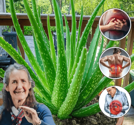 12 Astonishing Ways to Heal Your Body Naturally 12 Astonishing Ways to Heal Your Body Naturally