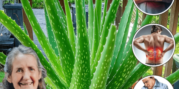 12 Astonishing Ways to Heal Your Body Naturally