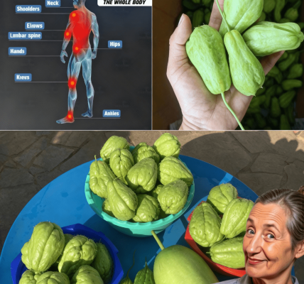 The Humble Veggie That Banishes Pain and Boosts Vitality Naturally