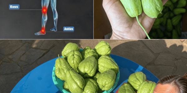 The Humble Veggie That Banishes Pain and Boosts Vitality Naturally The Humble Veggie That Banishes Pain and Boosts Vitality Naturally