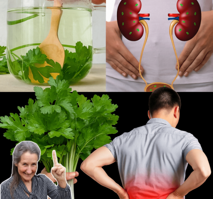 Revitalize Your Kidneys with This Ancient Amazonian Herbal Infusion! 🌿 Revitalize Your Kidneys with This Ancient Amazonian Herbal Infusion! 🌿