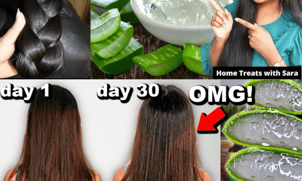 How Aloe Vera Gel Can Transform Your Hair from Root to Tip How Aloe Vera Gel Can Transform Your Hair from Root to Tip
