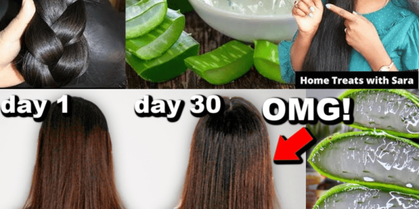 How Aloe Vera Gel Can Transform Your Hair from Root to Tip How Aloe Vera Gel Can Transform Your Hair from Root to Tip